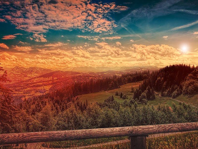 images/forest%20land%20at%20sunset.jpg#joomlaImage://local-images/forest land at sunset.jpg?width=800&height=600